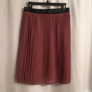 Pleated Skirt